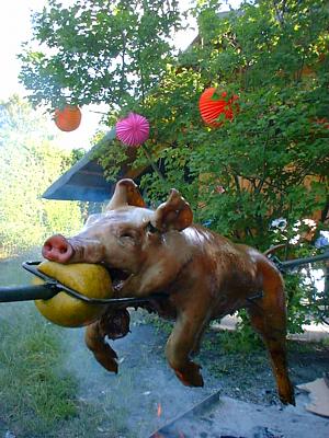 suckling pig