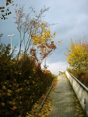 kennedy damm, hildesheim